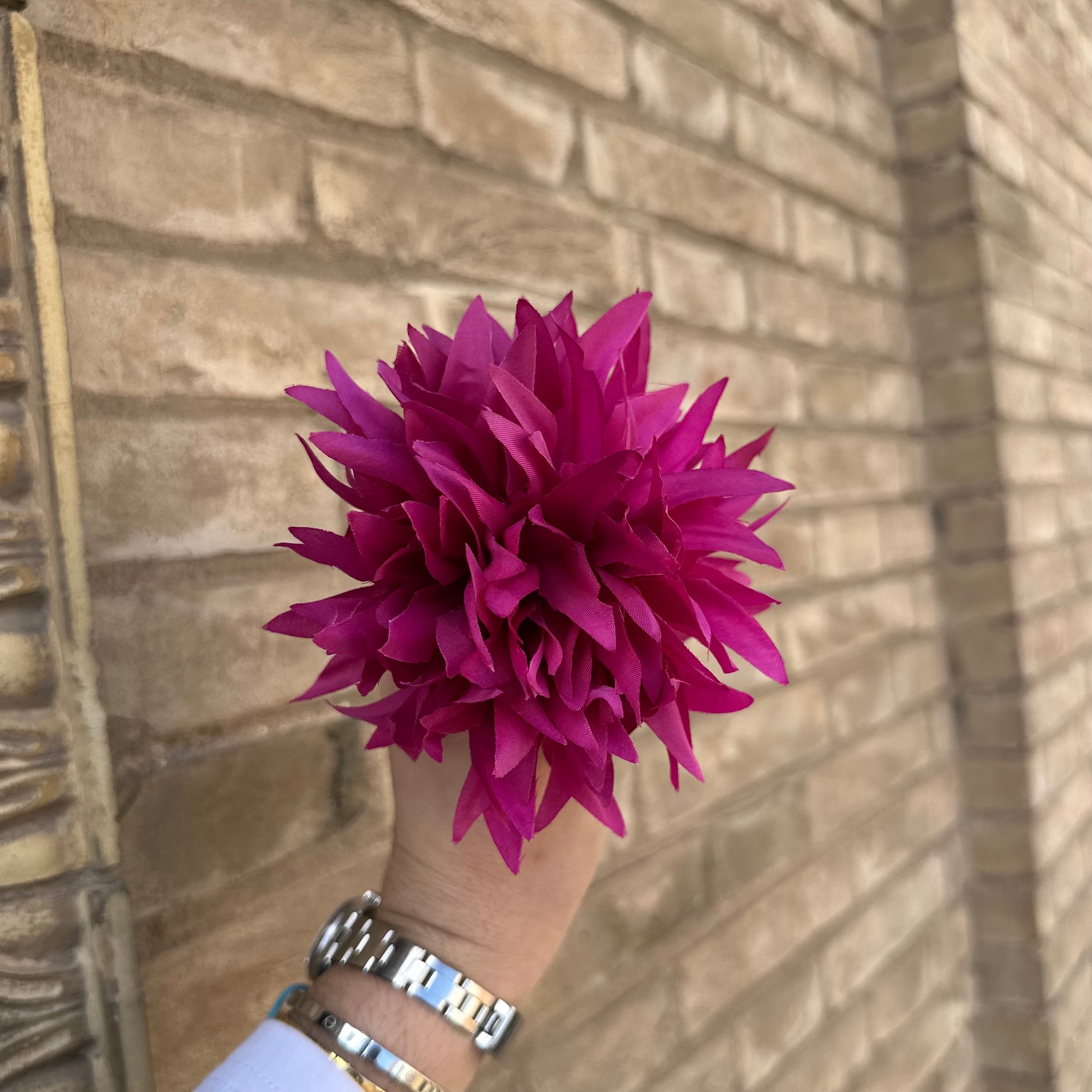 Flor dalia buganvilla