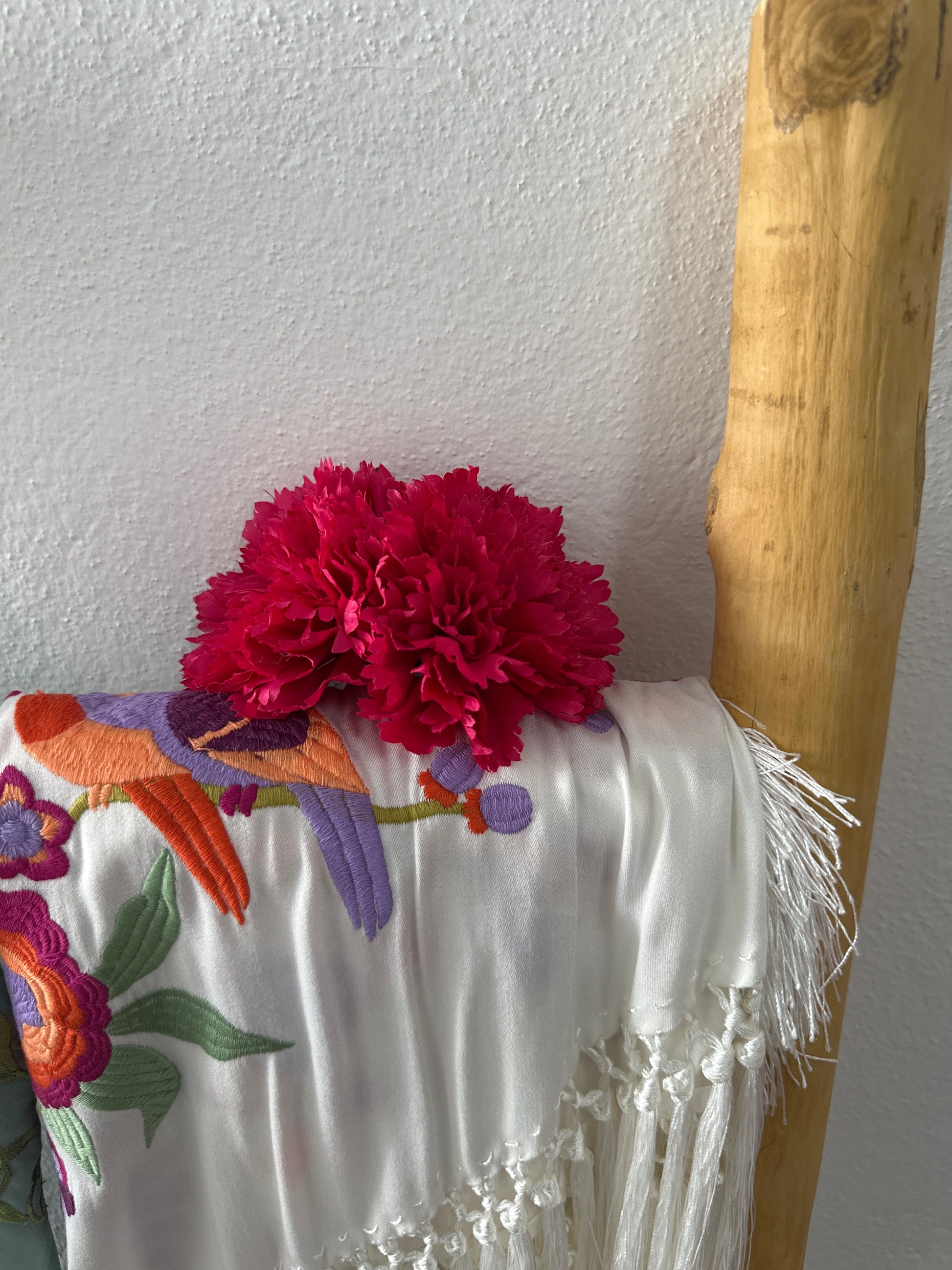 Flor clavel pequeño buganvilla
